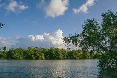 APEX英雄 新星选手表现抢眼，apex新英雄技能曝光