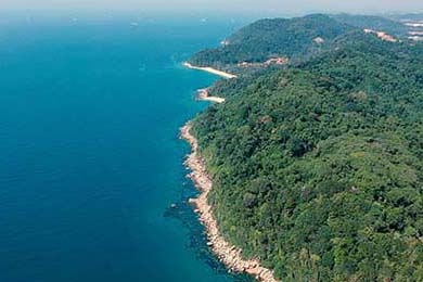 76人主场提升无障碍服务，赢得残障球迷好评，球队76人